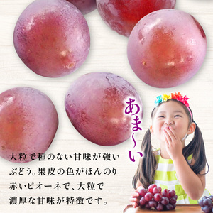 ピオーネ ぶどう ブドウ 大粒 濃厚【先行予約】ロゼピオーネ 約2kg フルーツ ふるーつ 果物 くだもの 三豊市【配送不可地域：北海道・沖縄県・離島】_M02-0066  ぶどう ブドウ