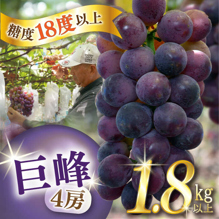 【ふるさと納税】【2026年7月下旬～発送】【数量限定】【糖度18度以上】巨峰ぶどう 4房 1.8kg以上 / ぶどう ブドウ 葡萄 巨峰 果物 フルーツ ふるーつ / 南島原市 / ミナサポ[SCW073]