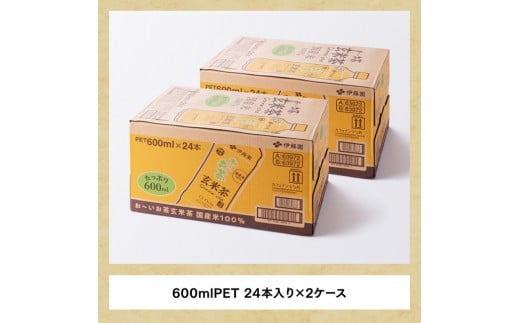 ※2025/06/30まで※おーいお茶 玄米茶 600ml×48本 PET 【ペットボトル セット 備蓄 ソフトドリンク お～いお茶 送料無料 】宮崎県川南町 [D07382]