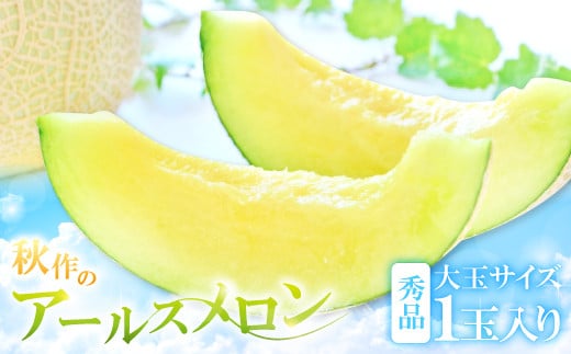 アールスメロン　秀品　大玉1玉【秋作】【メロン 大玉 先行予約 青肉 期間限定 季節限定 早期予約 果物 フルーツ アールスメロン めろん 秀品 1玉 秋作 10月上旬～10月下旬発送】