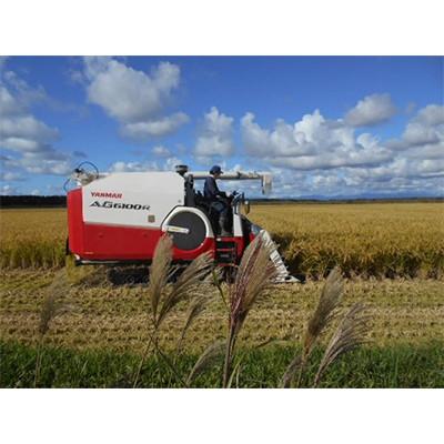 ふるさと納税 大潟村 大潟村高橋農場　特別栽培米「あきたこまち」5kg |  | 02