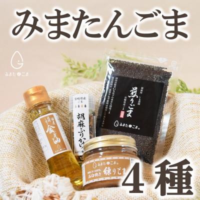 ふるさと納税 三股町 みまたんごま 4種セット【A-1401】