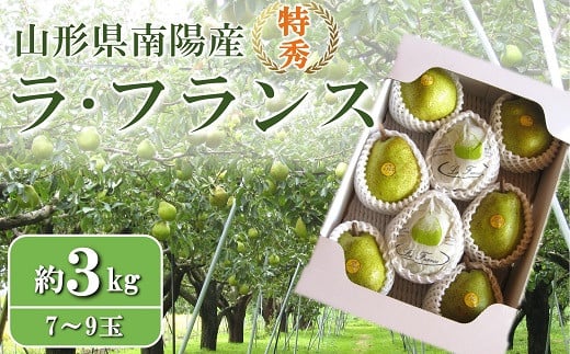 
            【令和7年産先行予約】 ラ・フランス 約3kg (7～9玉 特秀) 《令和7年11月頃～発送》 『寿農園』  洋梨 梨 なし ナシ フルーツ 果物 山形県 南陽市 [1376]
          