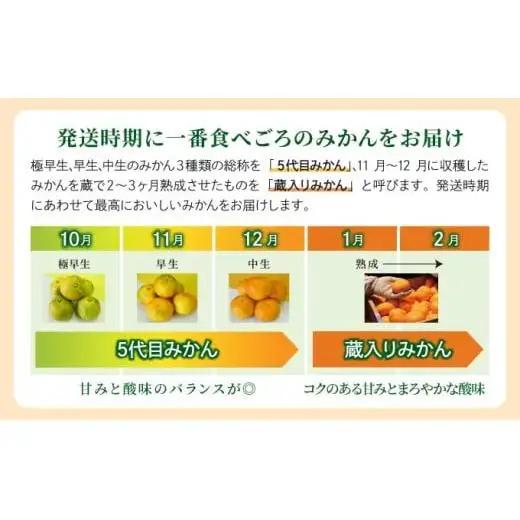 【期間限定】さがみかん (5代目みかん) 4.5kg【温州みかん 甘い 濃厚 ジューシー コク 完熟 熟成みかん 蔵出し 蔵入り 柑橘 密柑 ギフト 果物 フルーツ 佐賀県産 佐賀県 大和 太良 石橋
