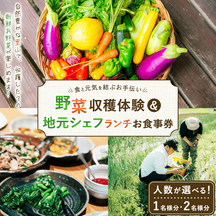 【ふるさと納税】【選べる人数】＼食と元気を結ぶお手伝い／農村レストラン 飛火鞍 収穫体験＆地元シェフによるランチのお食事チケット 1名様分 ペア | 野菜 やさい 収穫体験 ランチ 発酵食 体験 お食事券 農業体験 那須町 栃木県