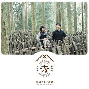 食感も香りもおいしい 乾燥椎茸 袋(大) 中葉(110g入り)×3袋セット