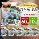 【ふるさと納税】≪新米予約≫ ≪6ヶ月定期便≫ ひとめぼれ 10kg×6ヶ月連続 計60kg 山形県庄内産 ご希望期間の毎月中旬頃お届け 5kg×2袋ずつ 東北 遊佐町 庄内地方 庄内平野 米 お米 精米 白米 庄内米 ごはん ご飯 セット 連続定期便