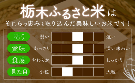 【6ヶ月定期便】米 栃木 ふるさと米 白米 20kg (5kg×4袋)《定期は翌々月より出荷開始》栃木県 野木町 米 国産 お米 おこめ お弁当 おにぎり【栃木県共通返礼品】