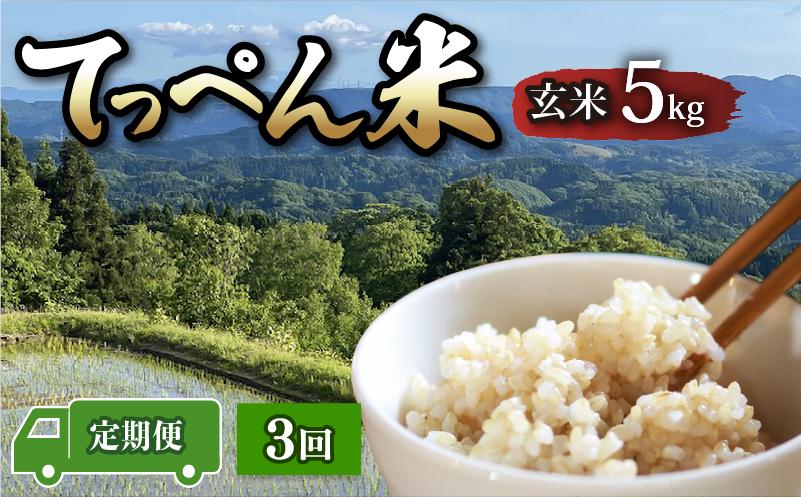 
                  【新米先行予約】 令和8年産 こしひかり 玄米 定期便 5kg 3回 数量限定 神子原 てっぺん米 計 15kg こだわり もっちり 甘み 食味ランクS 最高評価 genmai gennmai ご飯 ごはん R8 2026年産 コシヒカリ おいしい 美味しい 神子原てっぺん米 石川県 石川 能登 羽咋 支援 応援 復興応援 復興支援 お米 米 おこめ こめ kome okome ふるさと納税米 
                