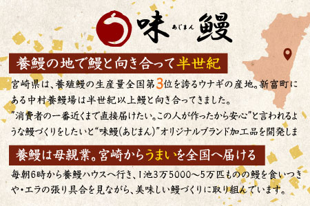 新仔‼味鰻の手焼備長炭蒲焼 5尾（無頭）化粧箱入 熨斗対応可【D109-2311】国産 うなぎ 鰻 ウナギ 蒲焼 長焼 九州 宮崎