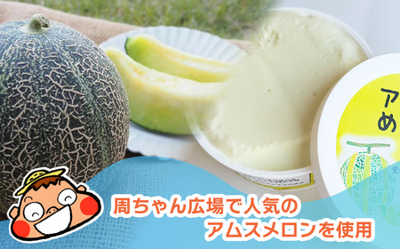 アムスめろんアイスクリーム16個　周桑産メロン使用｜ アイスミルク
