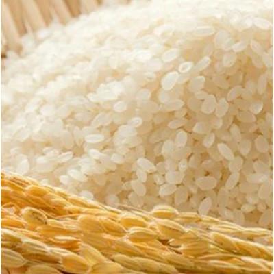 ふるさと納税 宮城県 ふっくら柔らか!宮城県南三陸サーモン、塩銀鮭・小分けタイプ3切れ×3袋&ひとめぼれ米2合のセット |  | 03