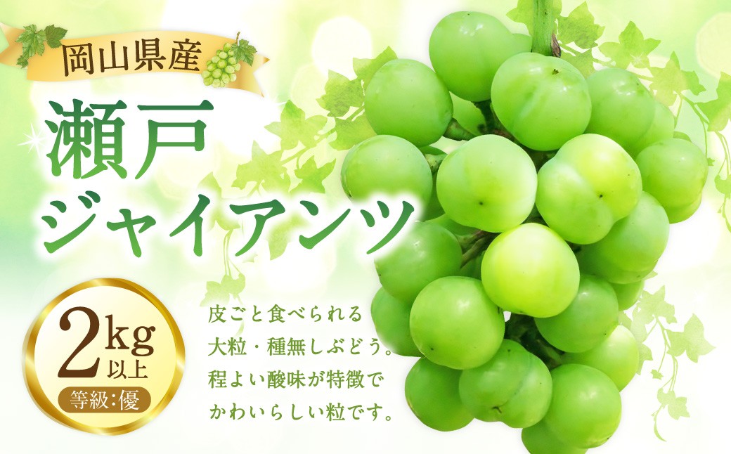 
                  瀬戸ジャイアンツ 優 2kg以上 【2026年9月下旬から10月下旬発送予定 ／ マスカット 葡萄 ぶどう 果物 果実 フルーツ 皮ごと 大粒 種なし 岡山県 美咲町
                