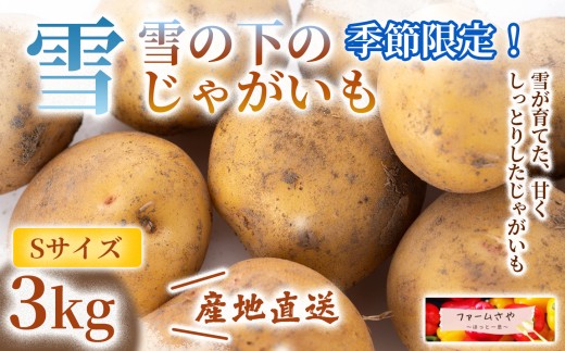 【3kg】雪の下のじゃがいも（S）