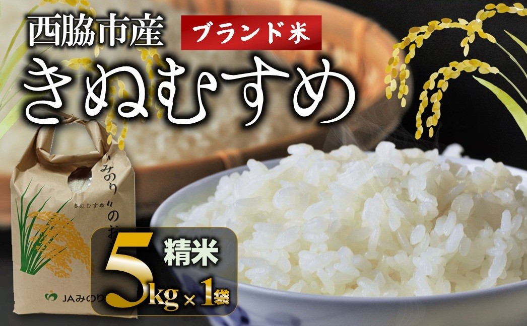 
                  【ブランド米 きぬむすめ】精米5kg  西脇市産（5kg×1袋）13-40
                
