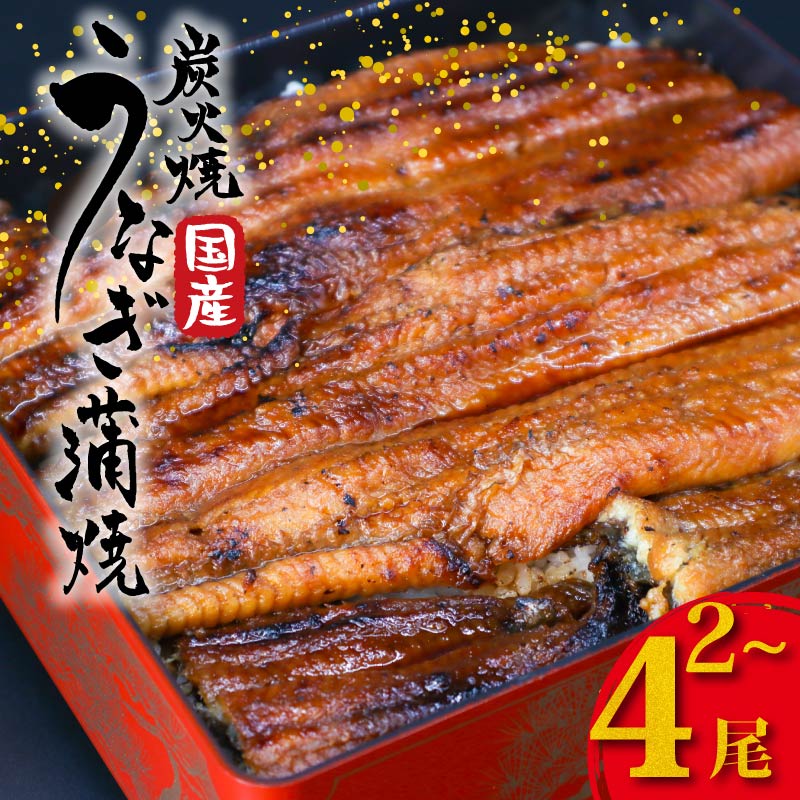 【ふるさと納税】 うなぎの蒲焼 2～4尾 国産 1尾約180g たれ付き 鰻 うなぎ 丑の日 魚 魚介 海鮮 肉厚 ジューシー かば焼き 蒲焼き うな重 ひつまぶし うな丼 どんぶり ごはん お米 年末年始 お取り寄せ ギフト プレゼント 贈り物 ご褒美 奈良県 奈良市 まるいち活鰻