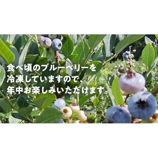 【数量限定】 冷凍ブルーベリー2kg 国産 [AD003tu]
