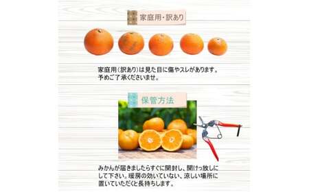  家庭用 ポンカン 5kg+250g（痛み補償分） 光センサー 食頃出荷 / 訳あり 有田 みかん 柑橘 蜜柑 くだもの 果物 果実 フルーツ 和歌山 ※1月中旬～2月下旬頃に順次発送予定 ※北海道・