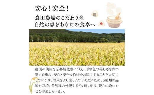 令和7年産 北海道岩見沢市産 おぼろづき玄米10kg ≪沖縄・離島配送不可≫