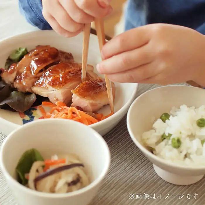 【波佐見焼】こども用食器3点セット(恐竜) 【studio wani】[MB48]