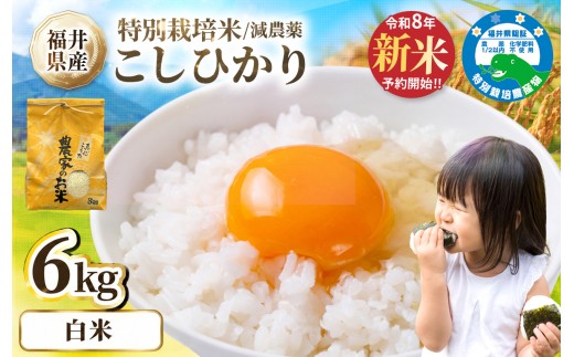 ＼新米先行予約／12月 減農薬米 こしひかり  6kg(3kg×2袋)／令和8年 福井県産 （白米）人気品種 少量サイズ便利