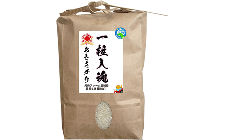 令和5年産 栽培期間中減農薬 あきさかり 20kg 玄米
