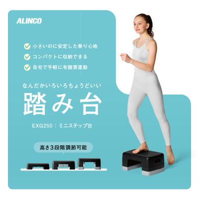 ふるさと納税 高槻市 ミニステップ台/EXG250