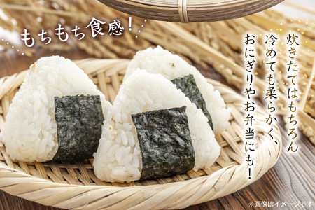 だて正夢 2kg 