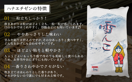 【先行予約】【令和7年産・新米】定期便 ≪6ヶ月連続お届け≫ ハナエチゼン 5kg × 6回（合計30kg）【白米】【10月中旬前後より順次発送予定】【お米 こめ はなえちぜん 華越前 人気品種 ブラ