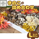 【ふるさと納税】きのこ の 詰め合わせ Lサイズ( 約2kg ) （茨城県共通返礼品：城里町） キノコ セット 野菜 低カロリー ダイエット デトックス バラエティ セット 新鮮