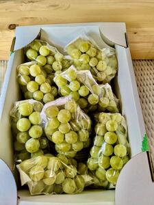 信州塩尻産 こくうま ナイヤガラ 2kg (6房~8房 生食用) | ナイヤガラ ナイアガラ こくうま 高級 生食用 完熟 ぶどう 葡萄 ブドウ くだもの 果物 フルーツ  長野県 塩尻市