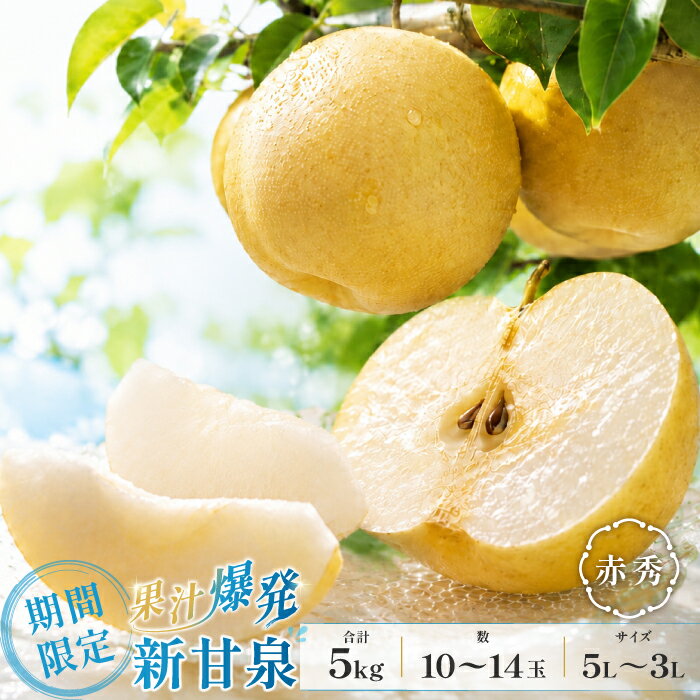 【ふるさと納税】【期間限定】鳥取県産 新甘泉 赤秀 5kg 10〜14玉 5L～3Lサイズ 梨 新甘泉 しんかんせん 赤秀 先行予約 季節限定 赤梨 なし ナシ 贈答用 期間限定 果物 フルーツ くだもの 数量限定 産地直送 鳥取県　DM12