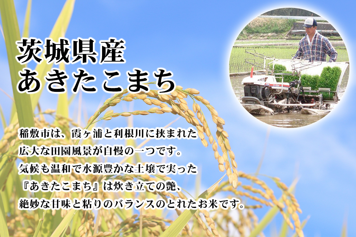 新米【定期便／3ヶ月 令和7年産】あきたこまち 白米 計15kg (5kg×1袋×3ヶ月) 茨城県稲敷市産｜おこめ 精米 直送 お米 産地 茨城 稲敷 [1822]