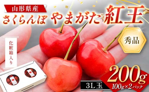 さくらんぼ やまがた紅王 200g(100g×2パック) 3L玉サイズ 大粒 秀品 山形県産 化粧箱入り 【2027年先行予約】 FSY-2266