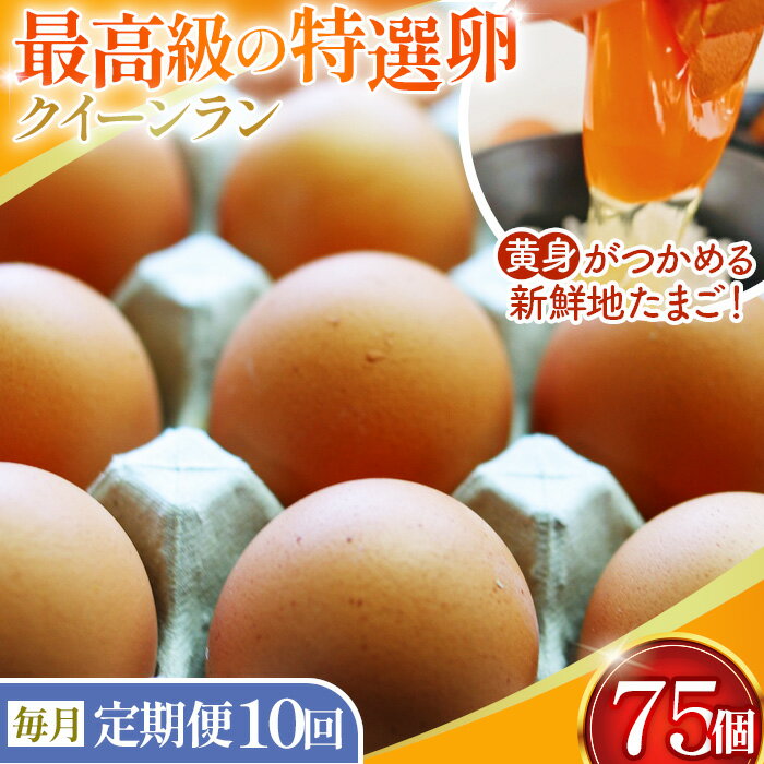 【ふるさと納税】【毎月定期便】黄身がつかめる新鮮地たまご クイーンラン 赤玉 75個入り全10回［No.595］ ／ 卵 毎月発送 定期便 新鮮卵 卵かけご飯 TKG 濃厚卵 黄身 弾力卵 生卵 卵料理 大容量 卵まとめ買い 新鮮食材 朝食食材 料理食材 家庭用卵 送料無料 埼玉県