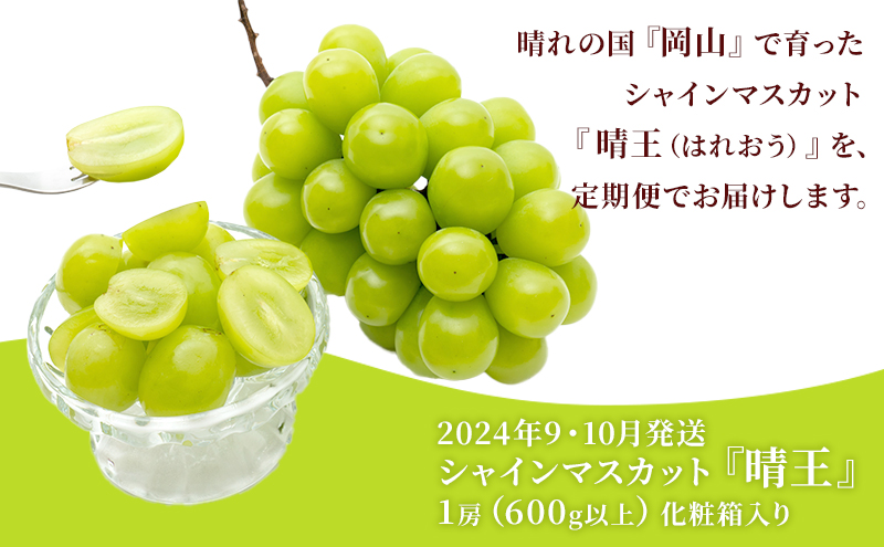 ぶどう 2024年 先行予約 晴れの国 岡山の シャイン マスカット 晴王 定期便 2回(各1房600g以上) 葡萄  岡山県産 国産 フルーツ ギフト