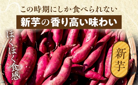 新芋＆熟成やきいもの食べ比べセット1㎏