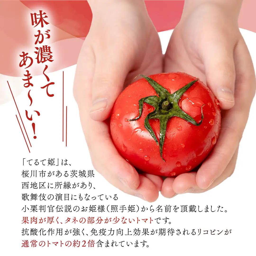 《 2027年 収穫分 》2～6月配送 スーパーフルーツトマト てるて姫 小箱 約800g × 1箱 【7～13玉/1箱】 糖度9度以上 先行予約 フルーツトマト ブランドトマト 野菜 ギフト 贈答 
