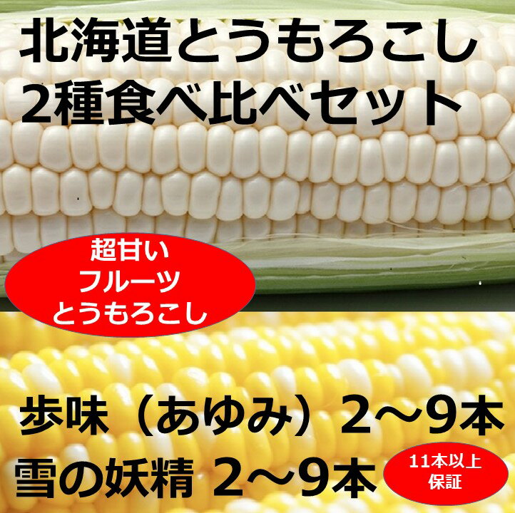 【ふるさと納税】訳あり 北海道 朝獲れ とうもろこし 2種 食べ比べセット 11～12本 甘い トウモロコシ 人気 送料無料 ホワイトコーン バイカラーコーン