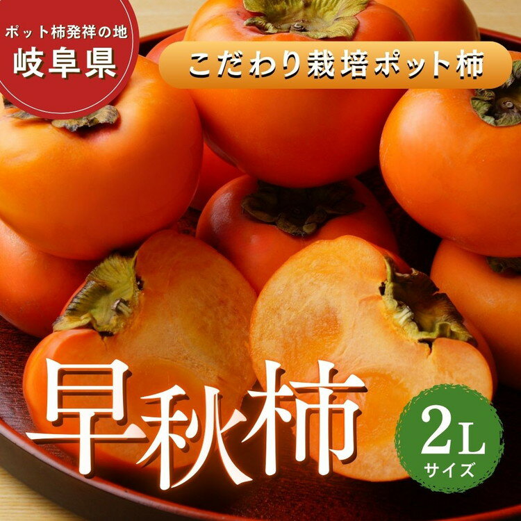 【ふるさと納税】【先行予約】こだわり栽培ポット柿（早秋柿） 2Lサイズ12個入り | 柿 かき カキ 早秋柿 早生品種 甘い ジューシー フルーツ くだもの 果物 秋の味覚 おやつ スイーツ 産地直送 先行 予約 ※離島への配送不可 ※2026年10月中旬～11月上旬頃に順次発送予定