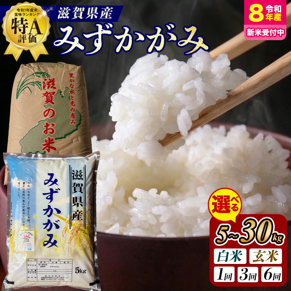 【ふるさと納税】＼選べる産年・内容量・配送回数／【令和7年産】【令和8年産 新米 先行予約】 近江米 みずかがみ（精米・玄米）米 定期便 5~30kg 1回 3回 6回 産地直送 ミズカガミ【お中元】
