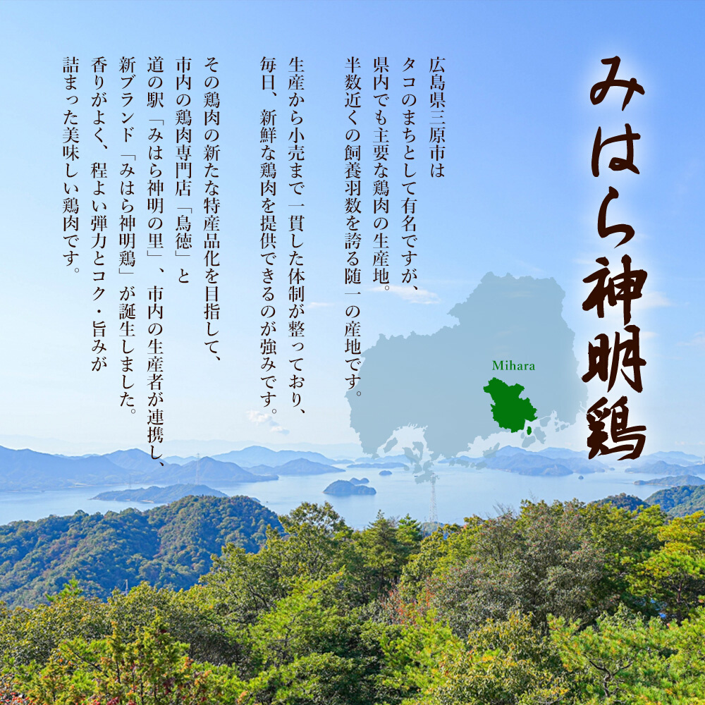 みはら神明鶏の鳥すきセット(3～5人前) 鶏肉専門店 鳥徳 鶏肉 鶏すき すきやき とりすき とりもも 鍋セット お肉 お鍋 割り下 神明鶏 鶏 鶏もも肉 モモ セセリ モツ 砂ずり スキヤキ 012