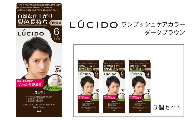 マンダム ルシード ワンプッシュケアカラー ダークブラウン 3個セット MA-16 LUCIDO 毛染め 白髪 カラーリング 男性化粧品