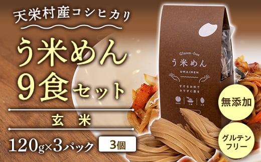 
天栄村産コシヒカリ玄米 う米めん 9食セット 無添加 グルテンフリー F21T-074
