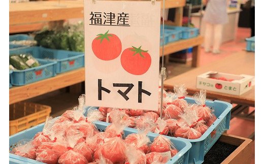 【年6回偶数月】穫れたて!旬の野菜・果物定期便★あんずの里【随時開始】[F6260]