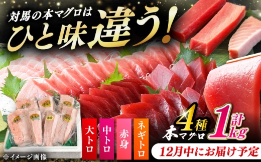 【12月中にお届け】対馬産 本マグロ 4種 計1kg（赤身/中トロ/大トロ/ネギトロ）《対馬市》【対海】[WAH004-12]