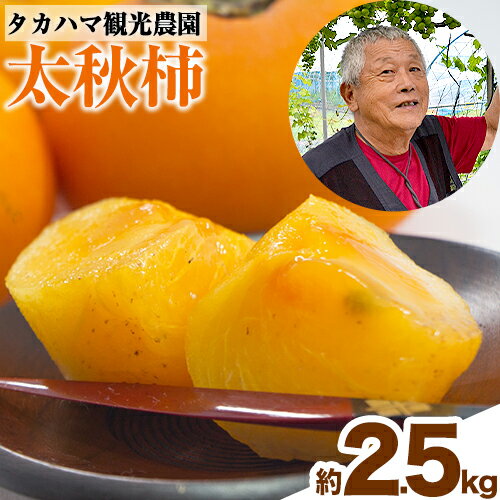 【ふるさと納税】熊本県大津町産 タカハマ観光農園の太秋柿 約2.5kg《10月上旬-11月下旬頃出荷》