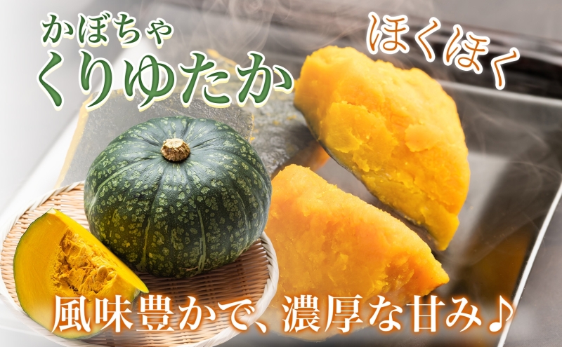 くりゆたか かぼちゃ 10kg 6～8玉 カボチャ 南瓜 野菜 秋 ホクホク 甘い 味覚 北海道 美深町 北はるか農業協同組合