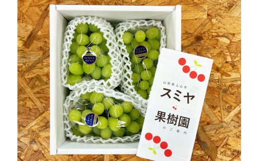 ぶどう（シャインマスカット）１.５ｋｇ（房小さめ）　0047-2509