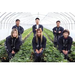 【2026年1月順次発送】風早いちご園 とちおとめ 特選デラックス 4パック【配送不可地域：離島・北海道・沖縄県・中国・四国・九州】【1647798】